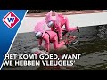 Harde smakken bij Red Bull's variant van Te Land, Ter Zee en in de Lucht