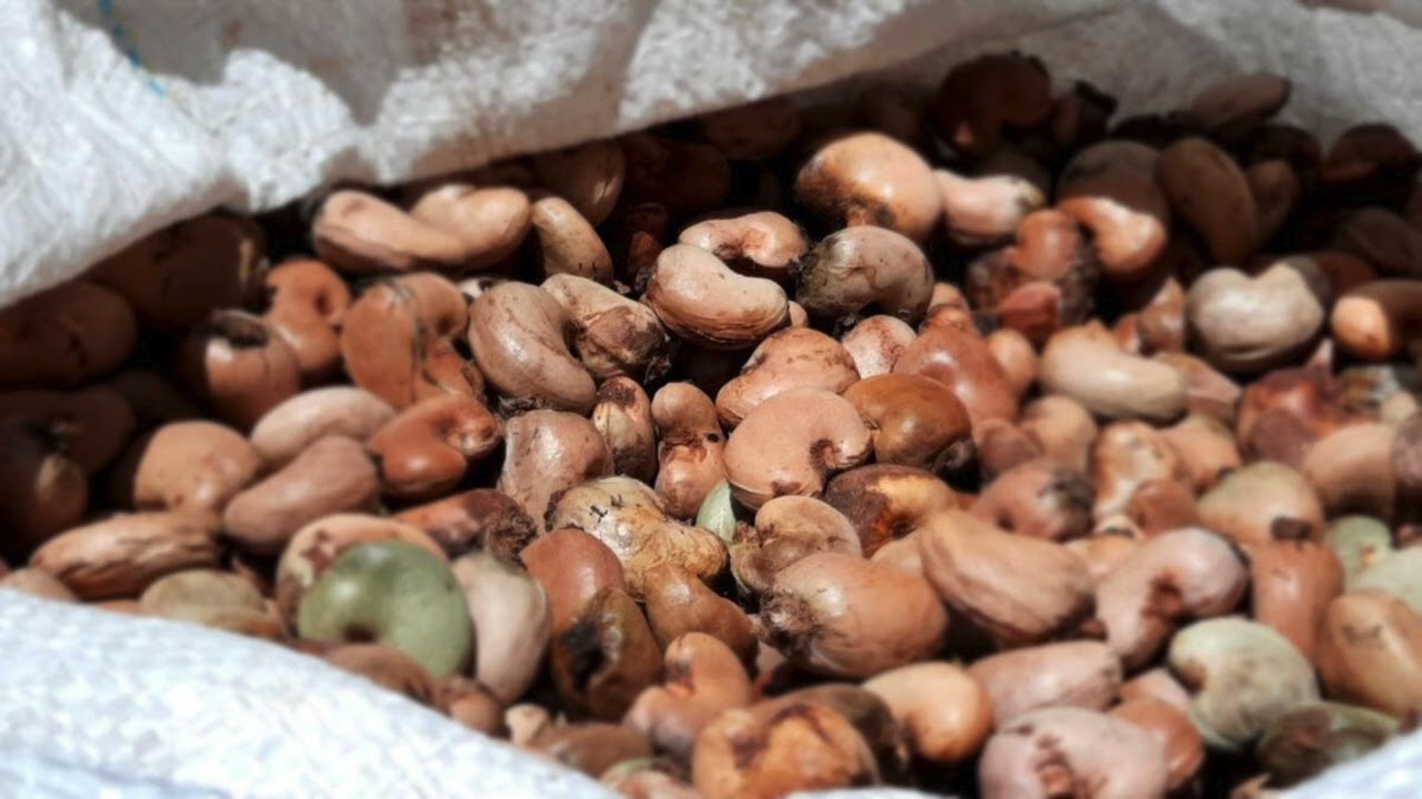 3CLIMAS MANCHETE ED 21102025