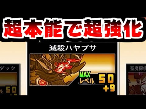 【にゃんこ大戦争】神神神アプデver14.6がキター！待ち望んだ本能玉絞り込み機能！そしてハヤブサが強くなりすぎな件！あとポテンシャルがよく分からん【本垢実況Re#2185】