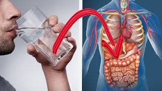 Estos son algunos beneficios de consumir agua en vez de otras bebidas