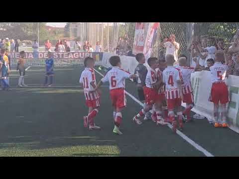 Video-Miniaturansicht