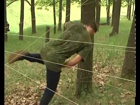 Спортивный праздник зеленых беретов прошел в Курске.