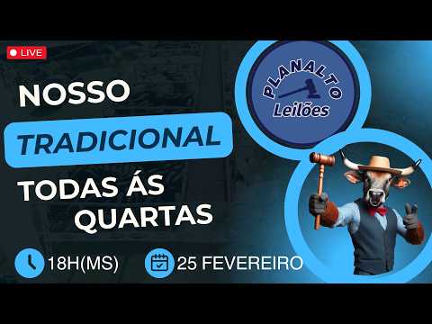 25/02/2026 328º Leilão Gado de Corte em Paranaíba -MS Planalto Leilões