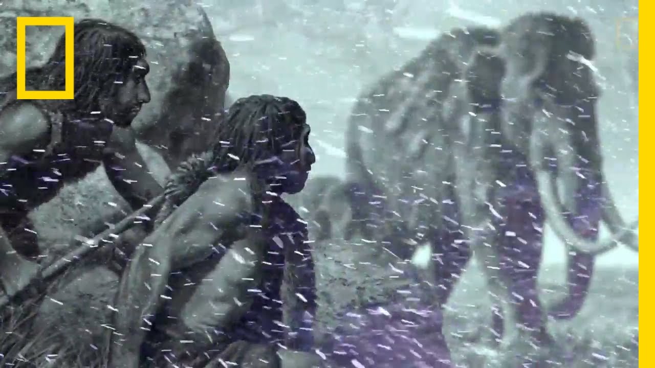 youtube video id=FMc81qpCQ3g