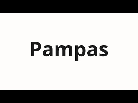 How to pronounce Pampas