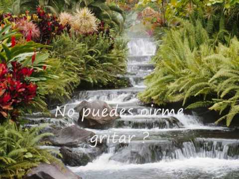 Al kooper - looking for a home ( subtitulada)