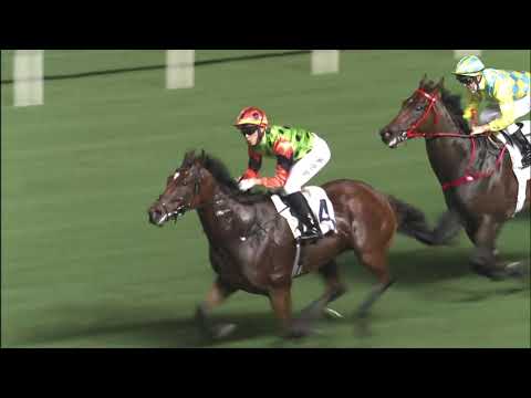 12/5/2021 (664) Carroll Street - Jerry Chau