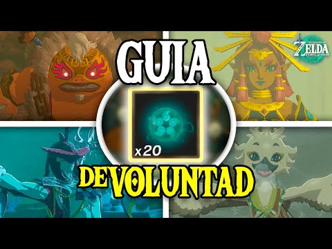 ✨ALL THE WILLS OF THE SAGE and How to GET THEM EASILY in Zelda Tears of the Kingdom!