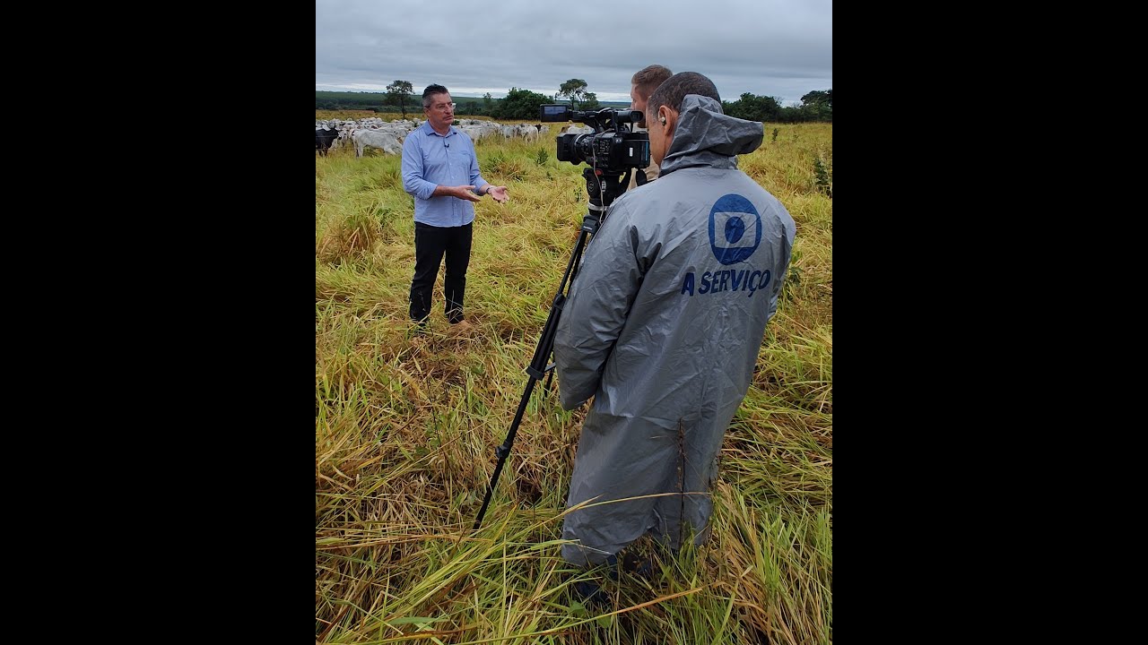+ Agro - TV Morena: Agraer desenvolve pesquisa sobre fosfato natural