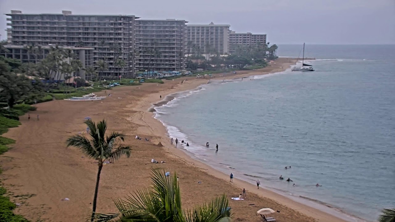 LIVE Sheraton Maui Resort & Spa | Ka’anapali Beach Cam | Maui Beach Cam