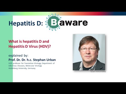 What is hepatitis D? What is the Hepatitis D Virus?