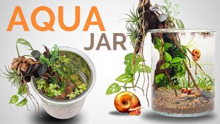Fascinating Aquarium in a Jar