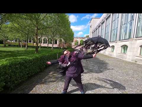 Milena Pavlović Barilli - Krila crnih ptica - Miodrag Kovačević & theINVISIBLES