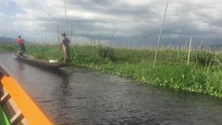 Tomato Farms, Inle Lake, MYANMAR
