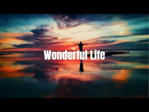 Wonderful Life