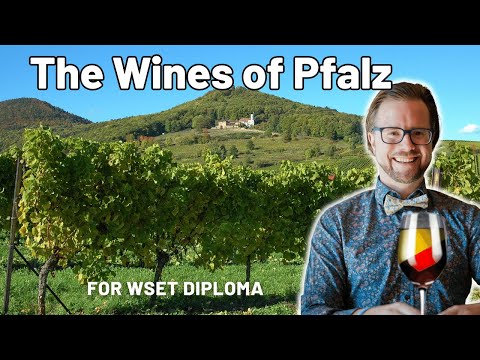 Exploring Germany's Pfalz Wines for WSET Diploma