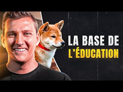 La première chose à faire pour éduquer son chien - EDUC DOG