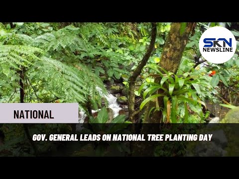 GOV GENERAL LEADS ON NATIONAL TREE PLANTING DAY