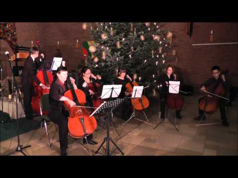 Cellounterricht bei Frau Lurije 2