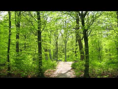 Robert Lidstroem - Recitation (Original Mix)