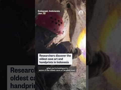 Oldest cave art and handprints discovered in Indonesia