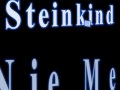 Steinkind - nie mehr (lyrics) 