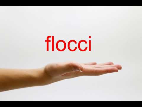 How to Pronounce flocci - American English