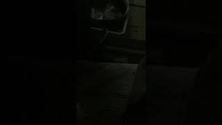 思い出酒場