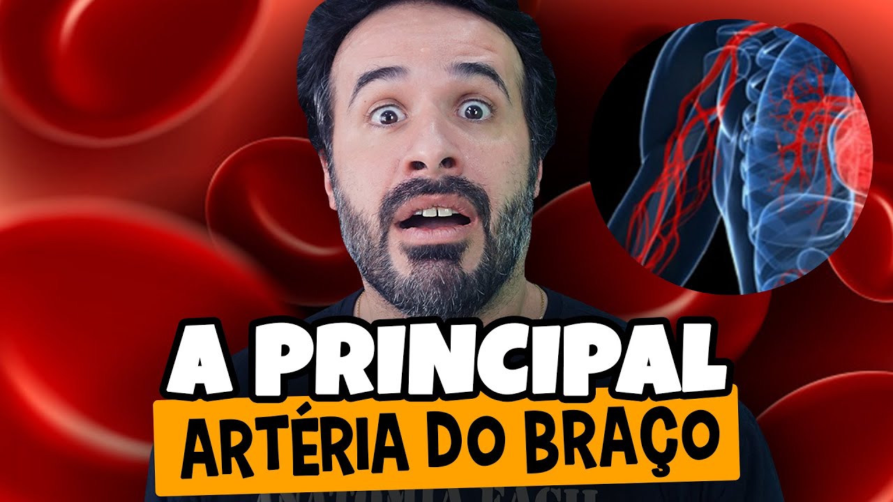 A PRINCIPAL ARTÉRIA DO BRAÇO.