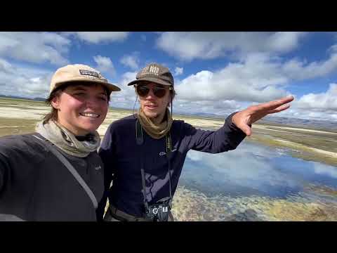 STUCK IN THE MUD IN REMOTE ARGENTINA 🇦🇷 S3   E64