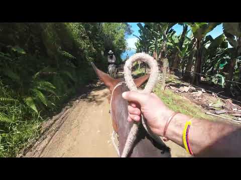 JARDÍN, Antioquia from the SKY: The most beautiful town in Colombia in 4K 🇨🇴"  #1