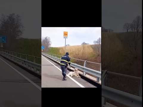 EROI IN DIVISA - Official Theme byPoliceControl #polizia #carabinieri