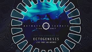 ANIMALS AS LEADERS - Ectogenesis (Live from San Antonio)