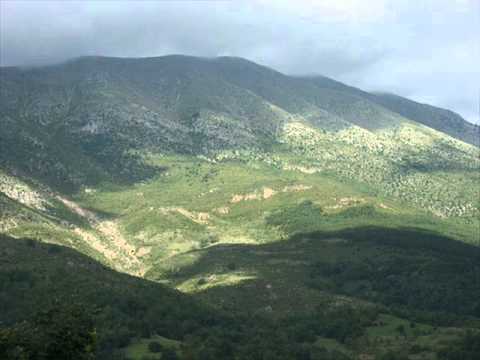 Knez - Sar Planina