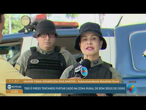 Trio é preso tentando furtar gado na zona rural de Bom Jesus de Goiás