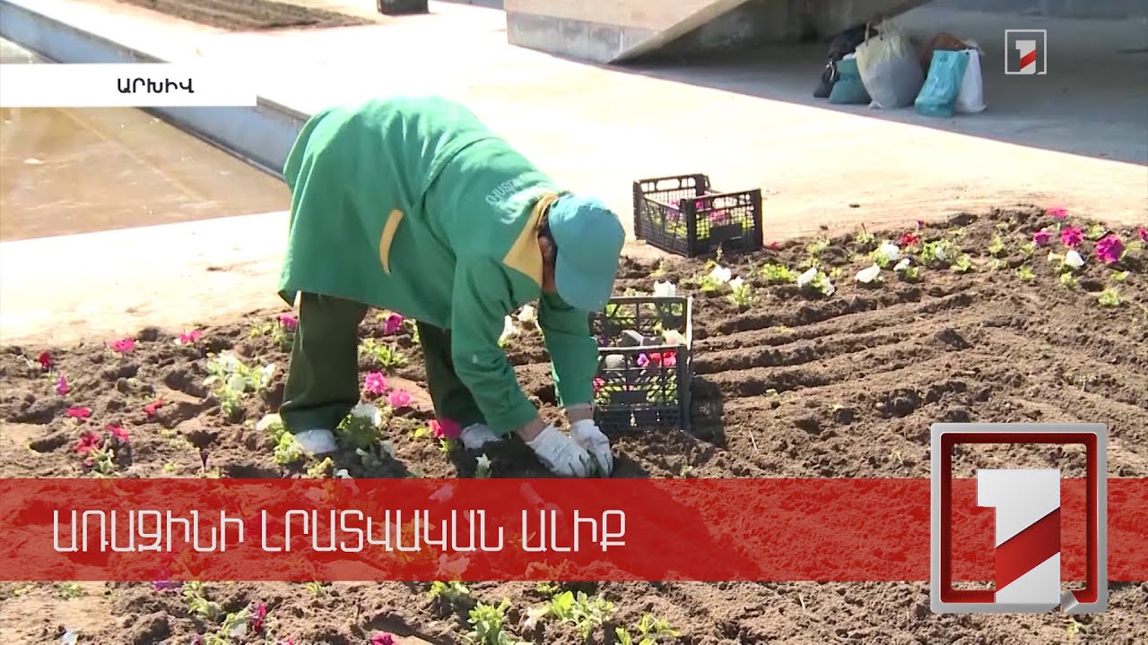 Այս տարի Երևանում 4000 ծառ և 75 հազար թփատեսակներ կտնկվեն