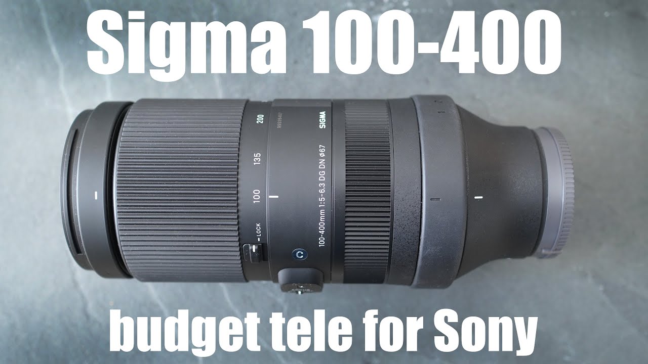 Sigma 100-400mm DG DN review VS Sony FE 100-400mm G Master