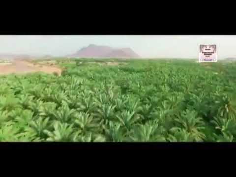 Opis izgleda Poslanika Muhammeda s.a.w.s & Podijelite