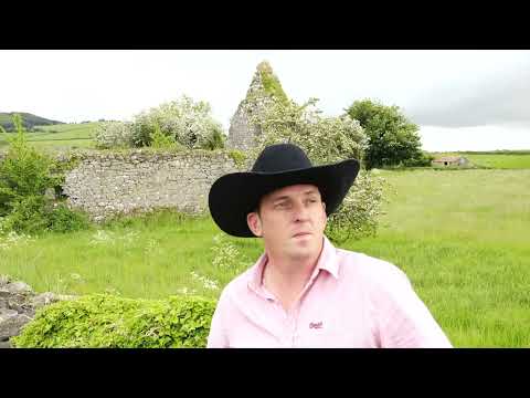 Among The Wicklow Hills