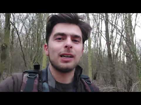 Lichen based index to nitrogen air quality guide | Winter Nature Spotting Field Studies Council