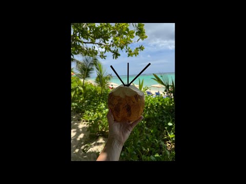 Seyseller piyasa sohbetı dolar altın gumus borsa