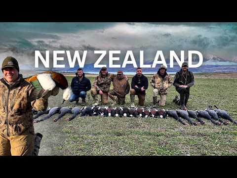 DUCK HUNTING PARADISE | A New Zealand Waterfowl Hunting Adventure