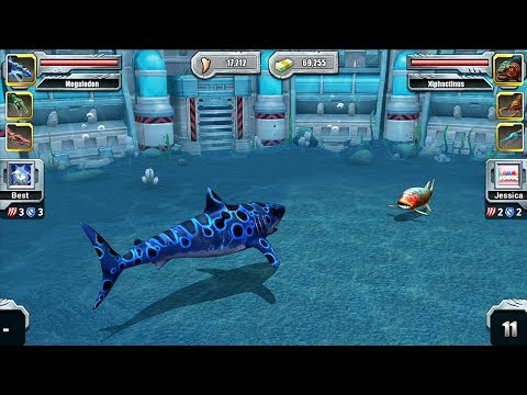 Jurassic Park Builder Aquatic Tournament Android Gameplay - MEGALODON VS XIPHACTINUS