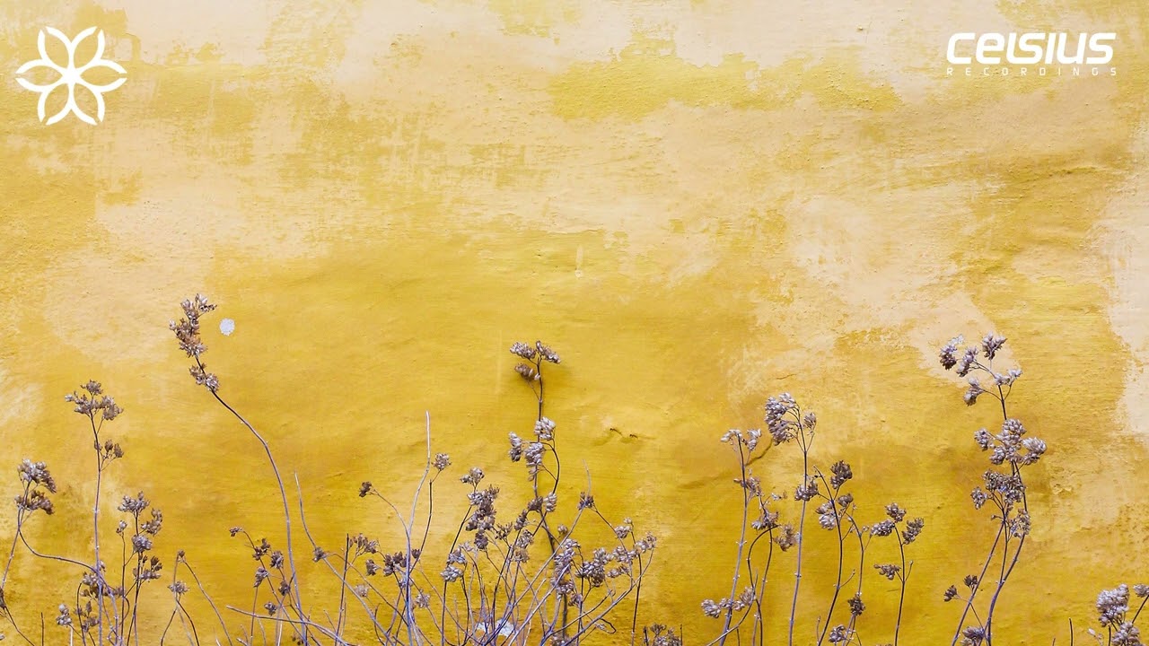 TS, CRSV and Warm Roller - Bernstein