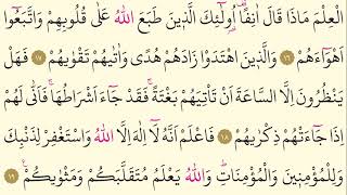 Download lagu 47- Surah Muhammad - Maher Al Muaiqly - Arabic translation HD mp3