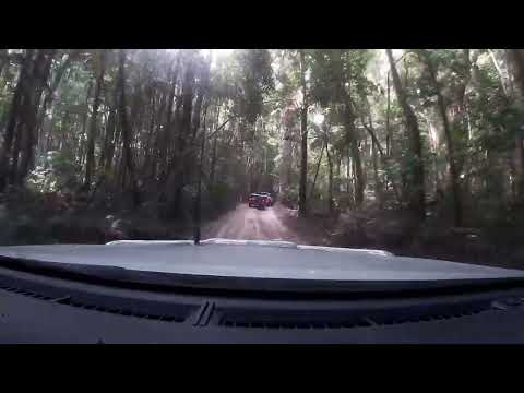 Fraser Island Inland Tracks July 2024