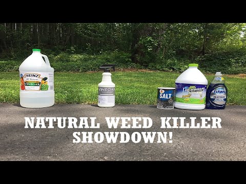 DIY Homemade Weed Killer -- How to Kill Weeds Naturally