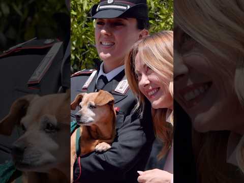 Oggi a Villa Pamphilj, anche una presenza d’eccezione: Briciola, storica mascotte dei Carabinieri