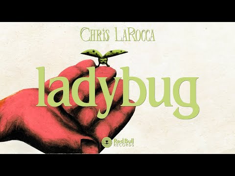 Chris LaRocca - "ladybug" (Visualizer)