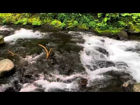 Teuk Ho, Peuv Vannary 1970, Khmer music, Peov Vannary’s song